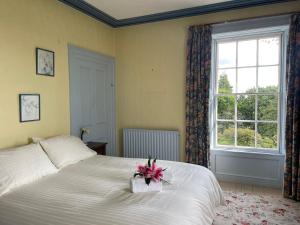 Willowbank House & Farm