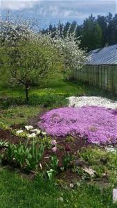 Cozy apartment near the airport