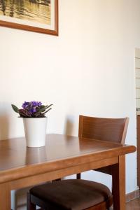 Villa Lavandula with heated swimming pool