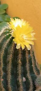 Casa di Claude con posto auto