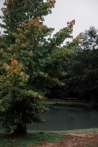 Villas Casa Slow avec sa piscine chauffee au bord du lac : photos des chambres