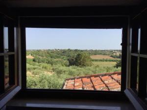 House with a swimming pool - Villa San Giorgio