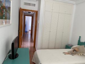 Discover perfect beach Apartment, only 300m away