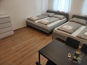 CozyNite Premium Apartment Hauptbahnhof 1+2