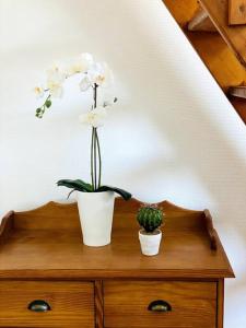 Appartements Le Blue - Coeur de ville : photos des chambres