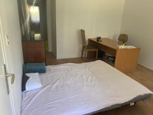 Appartements Belle apparemment a Nancy : photos des chambres