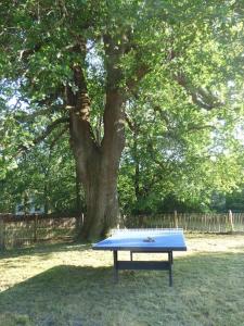 Villas Grande maison entre Lac et foret : photos des chambres