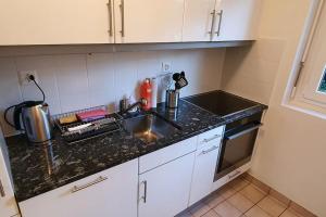 Apartment via San Carlo in Muralto-Locarno