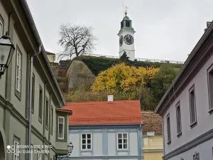 Zlatica Petrovaradin - 彼得罗瓦拉丁