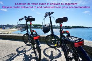 Appartements Le 12 * Hyper centre* : photos des chambres