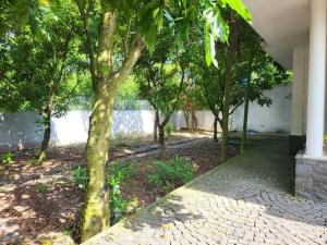 Tranquil Retreat Lux Villa in HungYen Countryside