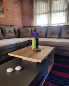 Rustic House Radovic