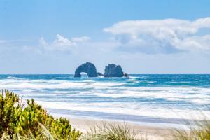 Starfish & Dolphin Combo