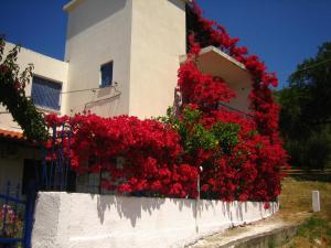 Villa Rosanna Epirus Greece