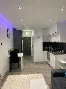 Apartament Bielskiego 44a - 克拉西琴