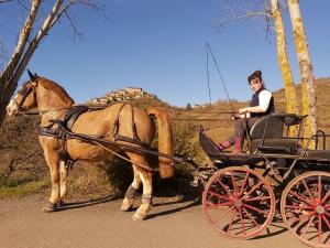 Campings la Fregiere Chalets : photos des chambres