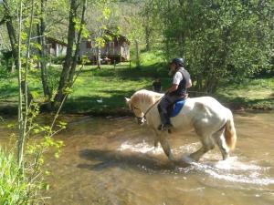 Campings la Fregiere Chalets : photos des chambres