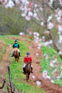 Campings la Fregiere Chalets : photos des chambres