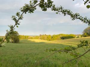 Campings Roulotte 360° Nature : photos des chambres