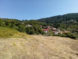 Appartamento il Giardino - Serralta