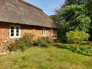 Ringkøbing Fjord B&B - Karsbæk