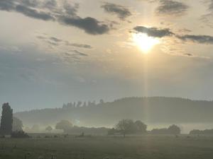 Campings Roulotte 360° Nature : photos des chambres