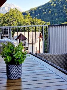 Mountain View by Green Future515