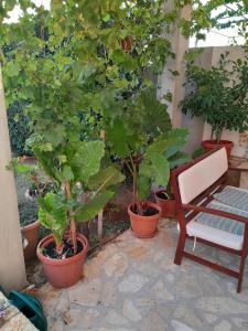 Apartments VESNA 