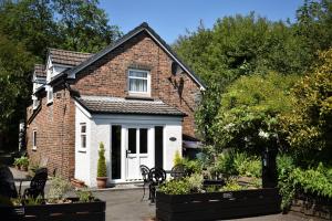 Kingfisher, Whitland