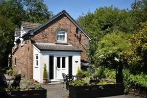 Kingfisher - Llanwinio