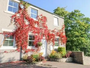 1 Alpha Rise - Greenhead