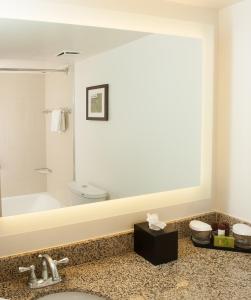 Two-Room King Suite - Non-Smoking room in Embassy Suites Nashville - Airport