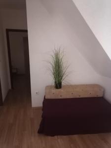 Apartment Bodrožić