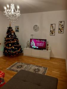 Apartamenty z widokiem