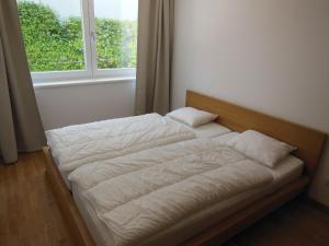 Apartement Laura by Schladmingurlaub