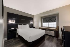 Double Room - Non-Smoking  room in Microtel Inn & Suites by Wyndham San Antonio by SeaWorld