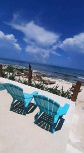 Punta Piedra studios