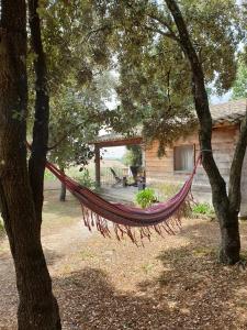 Maisons de vacances Les Cabanes de Carelle : photos des chambres