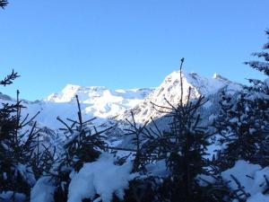 5Min Walk To Audi FIS Ski World Cup Swiss Studio