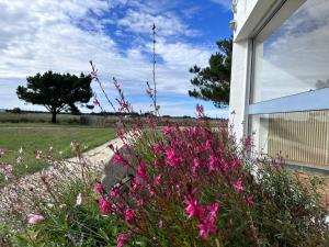 Hotels Hotel Les Esseppes : photos des chambres