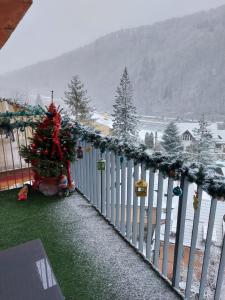 Apartament OVO Sinaia