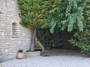 Maisons de vacances La Vigne Blanche Gites : photos des chambres