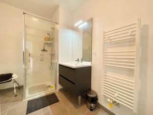 Appartements L' Hippocampe du bassin - 3 etoiles : photos des chambres