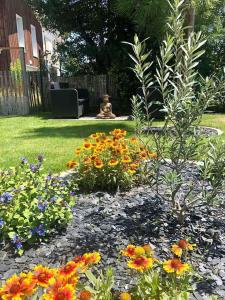 Appartements L' Hippocampe du bassin - 3 etoiles : photos des chambres