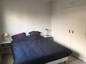 Appartements Logement Clinique Saint Francois /Centre Ville 4 : photos des chambres