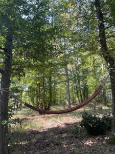 Sejours chez l'habitant Nid douillet a l'oree de la foret : photos des chambres