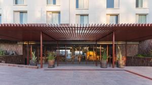 Albor San Miguel de Allende, Tapestry Collection by Hilton