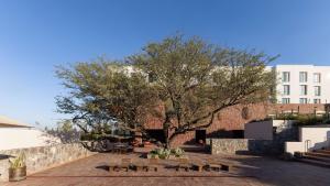 Albor San Miguel de Allende, Tapestry Collection by Hilton