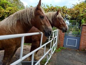 Maisons de vacances Gite a la campagne de 2 a 12 pers : photos des chambres