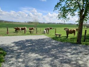 Maisons de vacances Gite a la campagne de 2 a 12 pers : photos des chambres